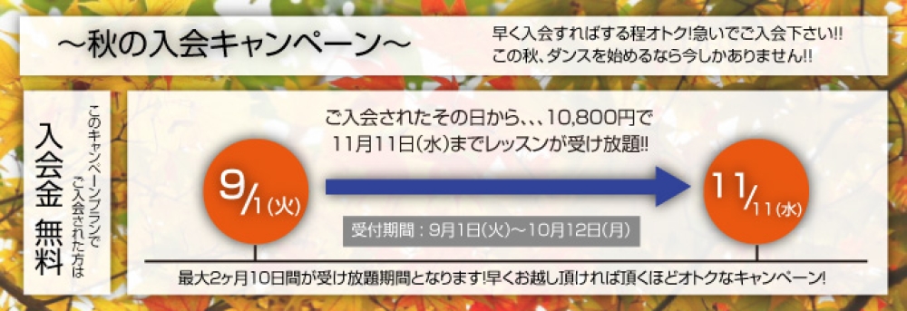 イメージ1